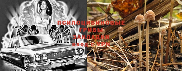 гидра Абдулино